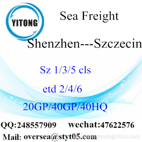 Shenzhen Port Sea Freight Shipping To Szczecin